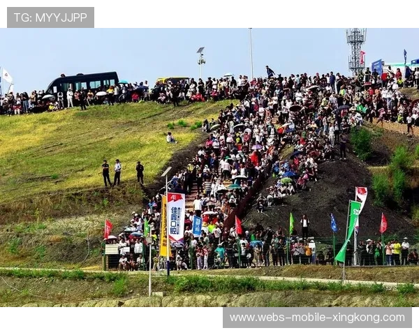 桑巴军团重燃激情！维尼修斯：要让快乐足球回归