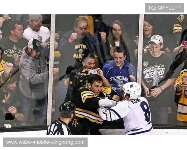 世界冰球联赛爆发冲突,两队群殴引发巨大争议